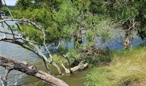 Photo of SOLD!!  24 Acres of Waterfront Lot off Farnham Creek in Richmond County VA!