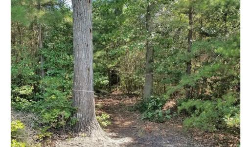 Photo of SOLD!!  24 Acres of Waterfront Lot off Farnham Creek in Richmond County VA!