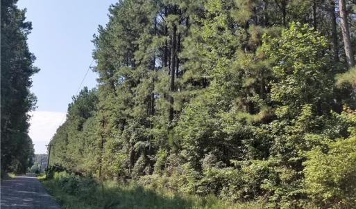 Photo of SOLD!!  24 Acres of Waterfront Lot off Farnham Creek in Richmond County VA!