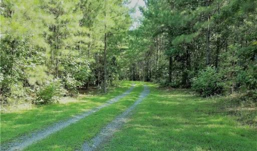 Photo of SOLD!!  24 Acres of Waterfront Lot off Farnham Creek in Richmond County VA!
