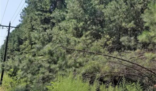 Photo of SOLD!!  24 Acres of Waterfront Lot off Farnham Creek in Richmond County VA!