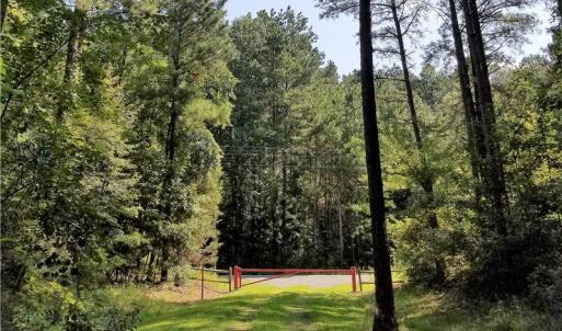 Photo of SOLD!!  24 Acres of Waterfront Lot off Farnham Creek in Richmond County VA!