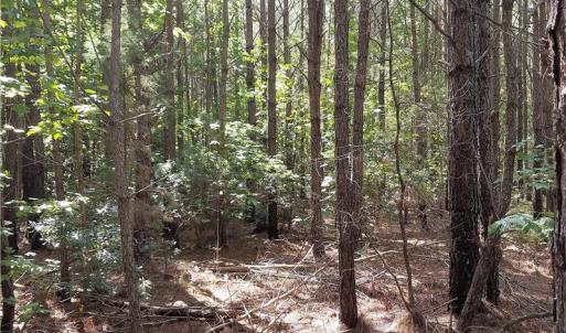 Photo of SOLD!!  24 Acres of Waterfront Lot off Farnham Creek in Richmond County VA!