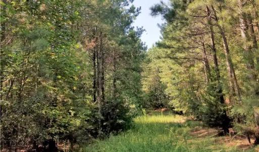 Photo of SOLD!!  24 Acres of Waterfront Lot off Farnham Creek in Richmond County VA!