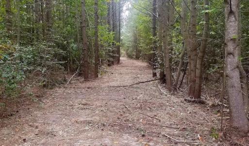Photo of SOLD!!  24 Acres of Waterfront Lot off Farnham Creek in Richmond County VA!