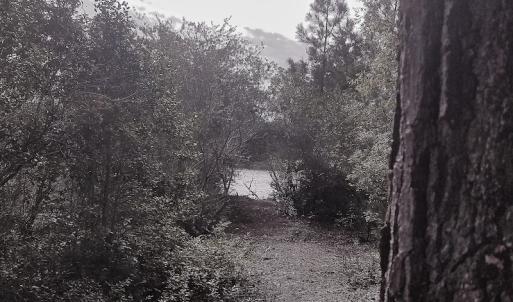 Photo of SOLD!!  24 Acres of Waterfront Lot off Farnham Creek in Richmond County VA!