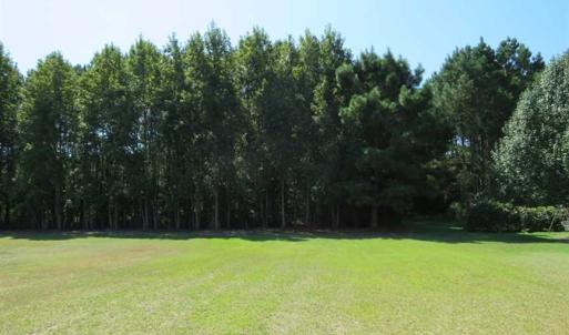 Photo of SOLD!  43 Acres of Hunting and Timber Land For Sale in Columbus County NC!