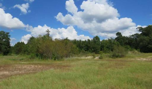 Photo of SOLD!  43 Acres of Hunting and Timber Land For Sale in Columbus County NC!