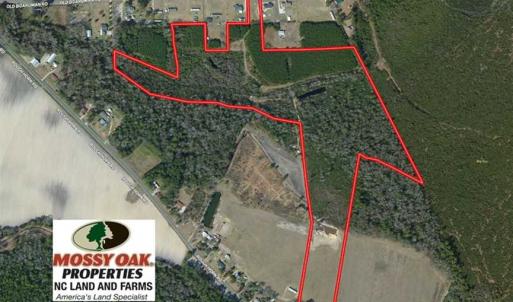 Photo of SOLD!  43 Acres of Hunting and Timber Land For Sale in Columbus County NC!