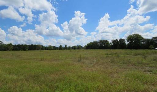 Photo of SOLD!  43 Acres of Hunting and Timber Land For Sale in Columbus County NC!