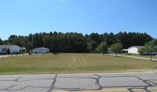 Photo of SOLD!  43 Acres of Hunting and Timber Land For Sale in Columbus County NC!