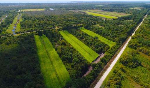 Photo of 251 Acres of Recreational Hunting Land with Lodge For Sale in Hyde County NC!