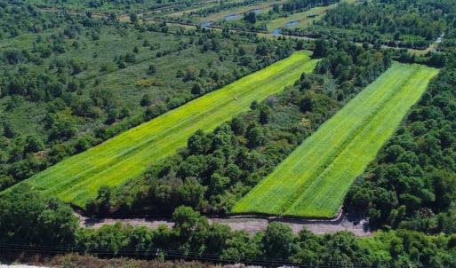Photo of 251 Acres of Recreational Hunting Land with Lodge For Sale in Hyde County NC!