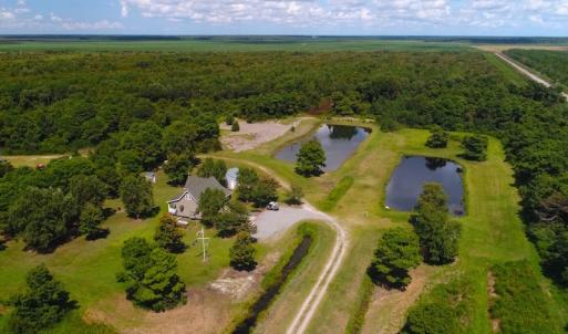 Photo of 251 Acres of Recreational Hunting Land with Lodge For Sale in Hyde County NC!