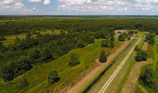 Photo of 251 Acres of Recreational Hunting Land with Lodge For Sale in Hyde County NC!