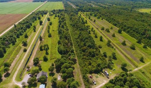 Photo of 251 Acres of Recreational Hunting Land with Lodge For Sale in Hyde County NC!