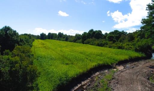 Photo of 251 Acres of Recreational Hunting Land with Lodge For Sale in Hyde County NC!