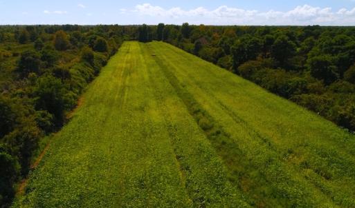 Photo of 251 Acres of Recreational Hunting Land with Lodge For Sale in Hyde County NC!