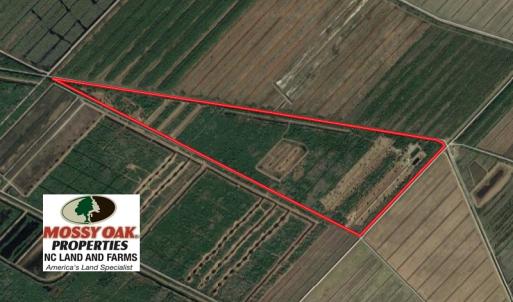 Photo of 251 Acres of Recreational Hunting Land with Lodge For Sale in Hyde County NC!