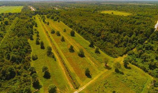 Photo of 251 Acres of Recreational Hunting Land with Lodge For Sale in Hyde County NC!