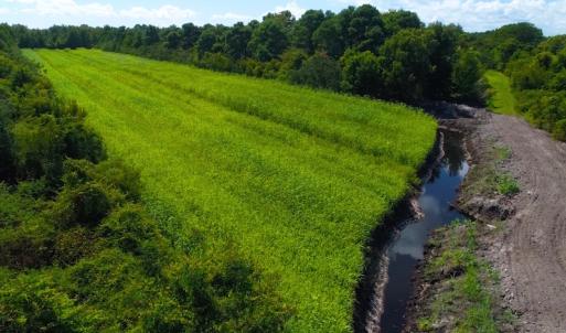 Photo of 251 Acres of Recreational Hunting Land with Lodge For Sale in Hyde County NC!