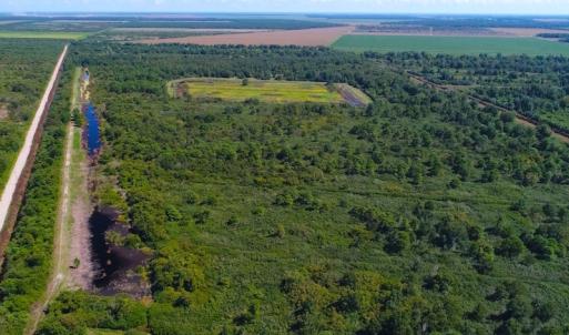 Photo of 251 Acres of Recreational Hunting Land with Lodge For Sale in Hyde County NC!