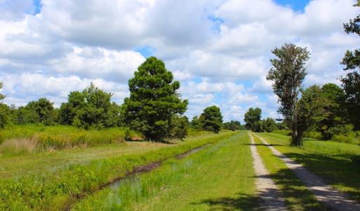 Photo of 251 Acres of Recreational Hunting Land with Lodge For Sale in Hyde County NC!
