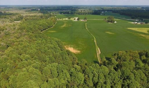 Photo of UNDER CONTRACT!  43 Acres of Farm and Timber Land For Sale in Wilson County NC!