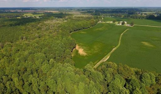 Photo of UNDER CONTRACT!  43 Acres of Farm and Timber Land For Sale in Wilson County NC!