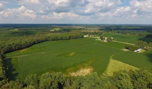 Photo of UNDER CONTRACT!  43 Acres of Farm and Timber Land For Sale in Wilson County NC!