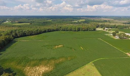 Photo of UNDER CONTRACT!  43 Acres of Farm and Timber Land For Sale in Wilson County NC!