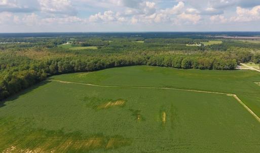 Photo of UNDER CONTRACT!  43 Acres of Farm and Timber Land For Sale in Wilson County NC!