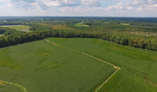 Photo of UNDER CONTRACT!  43 Acres of Farm and Timber Land For Sale in Wilson County NC!