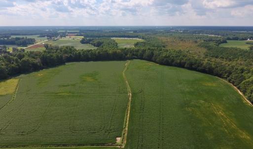 Photo of UNDER CONTRACT!  43 Acres of Farm and Timber Land For Sale in Wilson County NC!