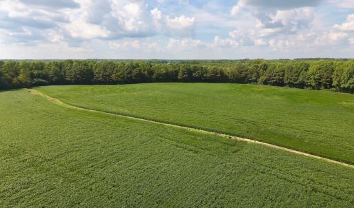 Photo of UNDER CONTRACT!  43 Acres of Farm and Timber Land For Sale in Wilson County NC!