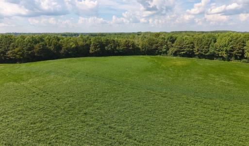 Photo of UNDER CONTRACT!  43 Acres of Farm and Timber Land For Sale in Wilson County NC!