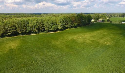 Photo of UNDER CONTRACT!  43 Acres of Farm and Timber Land For Sale in Wilson County NC!