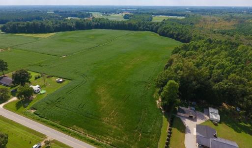 Photo of UNDER CONTRACT!  43 Acres of Farm and Timber Land For Sale in Wilson County NC!