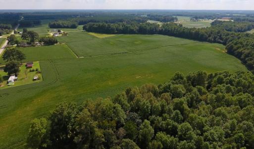 Photo of UNDER CONTRACT!  43 Acres of Farm and Timber Land For Sale in Wilson County NC!