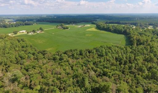 Photo of UNDER CONTRACT!  43 Acres of Farm and Timber Land For Sale in Wilson County NC!