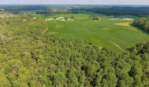 Photo of UNDER CONTRACT!  43 Acres of Farm and Timber Land For Sale in Wilson County NC!
