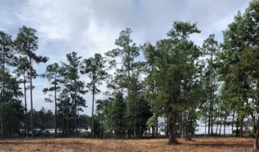 Photo of UNDER CONTRACT!  1.24 Acre Waterfront Lot For Sale on the Bay River in Pamlico County NC!