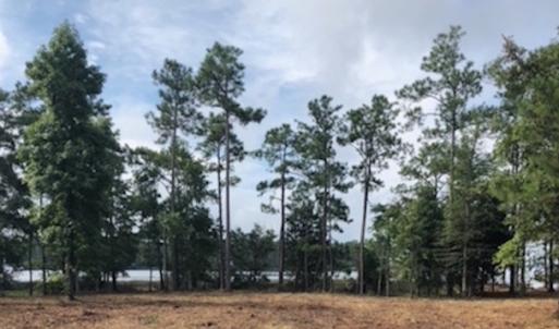 Photo of UNDER CONTRACT!  1.24 Acre Waterfront Lot For Sale on the Bay River in Pamlico County NC!