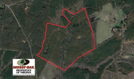 Photo of UNDER CONTRACT!  109 Acres of Recreational Hunting Land For Sale in Brunswick County VA!
