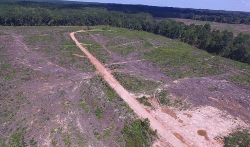 Photo of UNDER CONTRACT!  109 Acres of Recreational Hunting Land For Sale in Brunswick County VA!