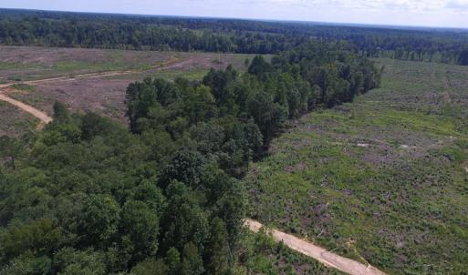 Photo of UNDER CONTRACT!  109 Acres of Recreational Hunting Land For Sale in Brunswick County VA!