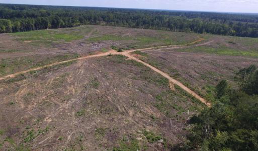 Photo of UNDER CONTRACT!  109 Acres of Recreational Hunting Land For Sale in Brunswick County VA!