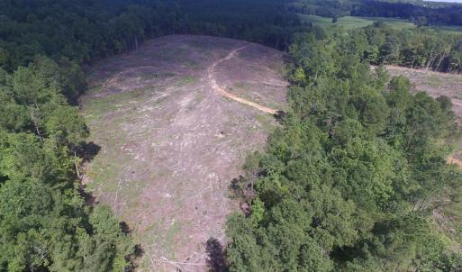 Photo of UNDER CONTRACT!  109 Acres of Recreational Hunting Land For Sale in Brunswick County VA!