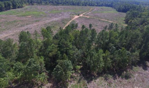Photo of UNDER CONTRACT!  109 Acres of Recreational Hunting Land For Sale in Brunswick County VA!