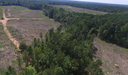 Photo of UNDER CONTRACT!  109 Acres of Recreational Hunting Land For Sale in Brunswick County VA!